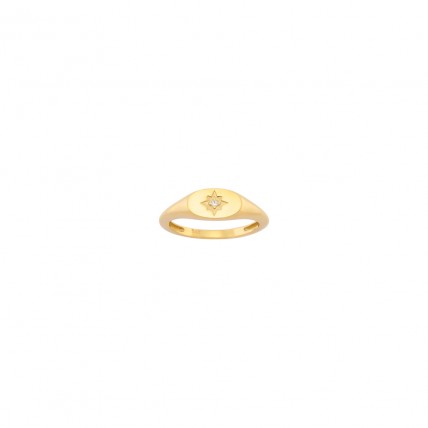 Δαχτυλίδι Σε Κίτρινο Χρυσό 14K Aloro (RI115 - ZX2249)